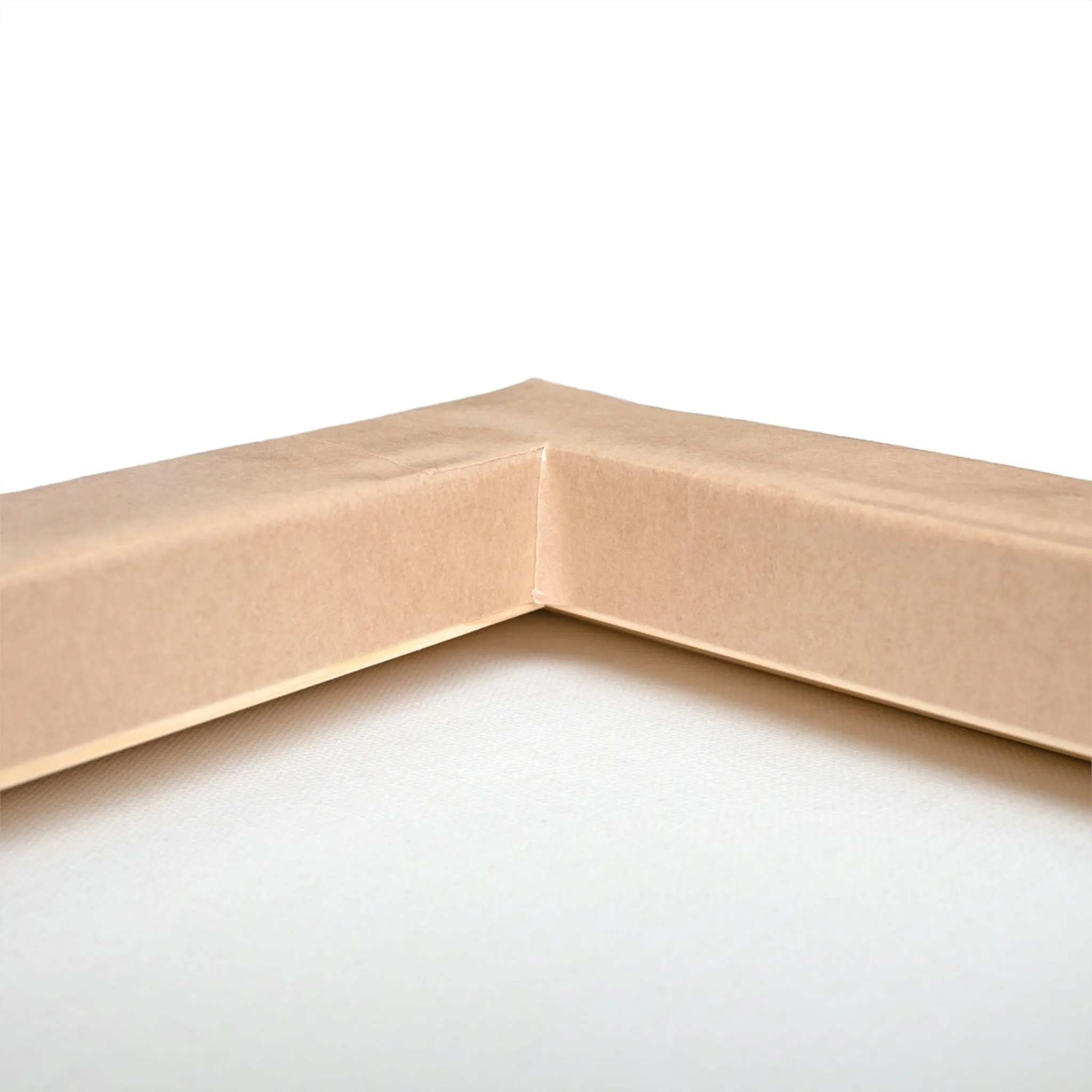 Birdi Stretched Canvas