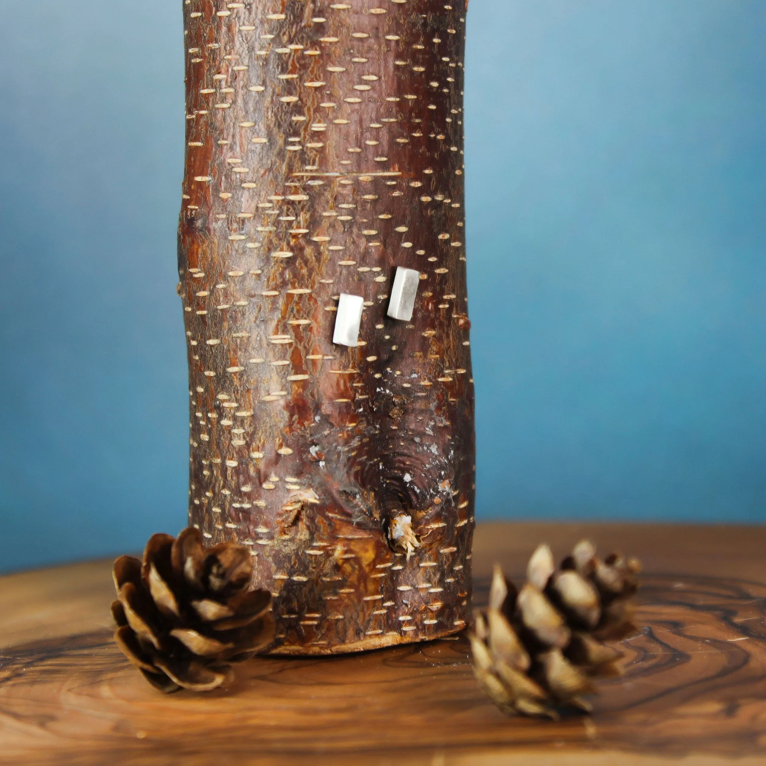 Silver Bar Earrings